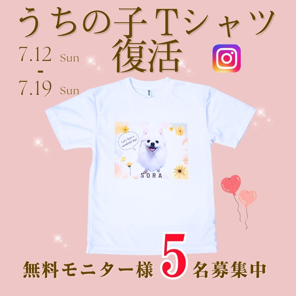 うちの子Tシャツのモニター企画