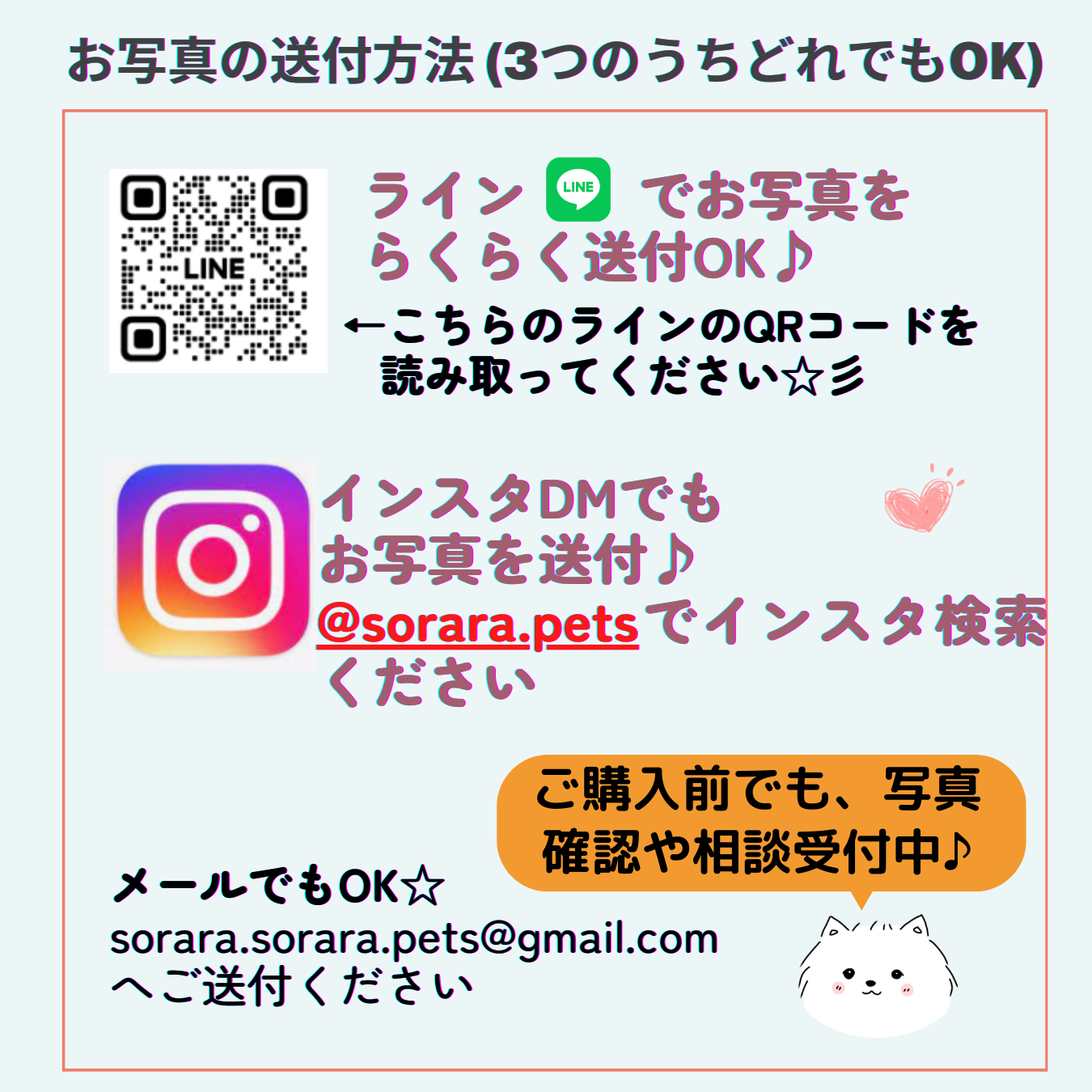 レスキューステッカー My Cute Family 屋外用 完全防水 高耐久 自由にカスタマイズOK