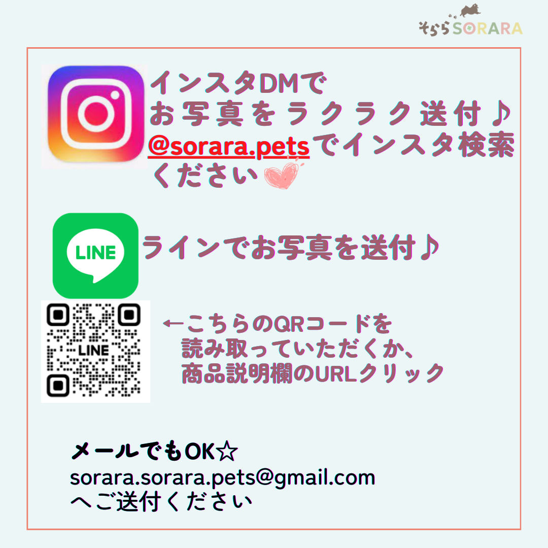 セミオーダープチ缶 My Cute Family