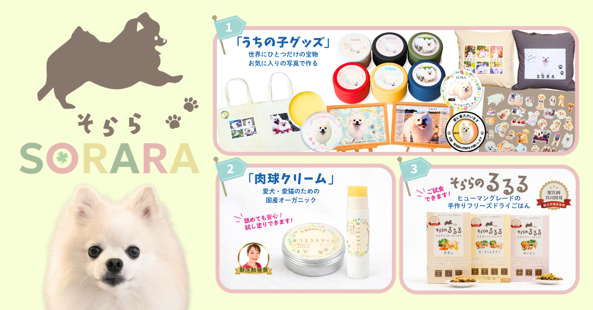 ドッグフードのあげ方