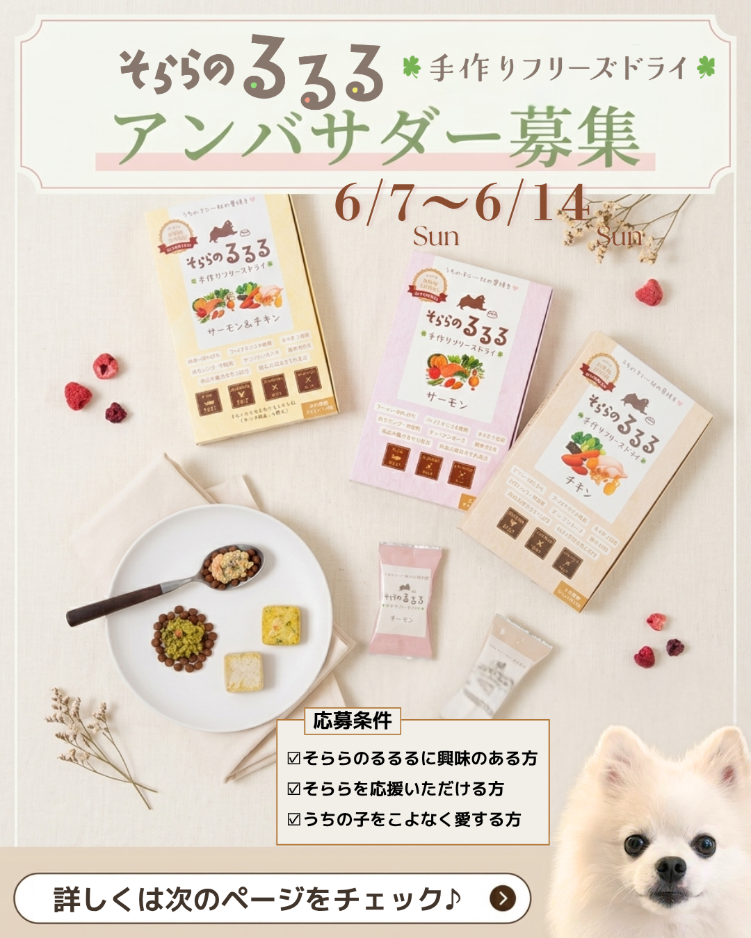 そららのるるるアンバサダー募集！！(2026/6/7〜6/14)