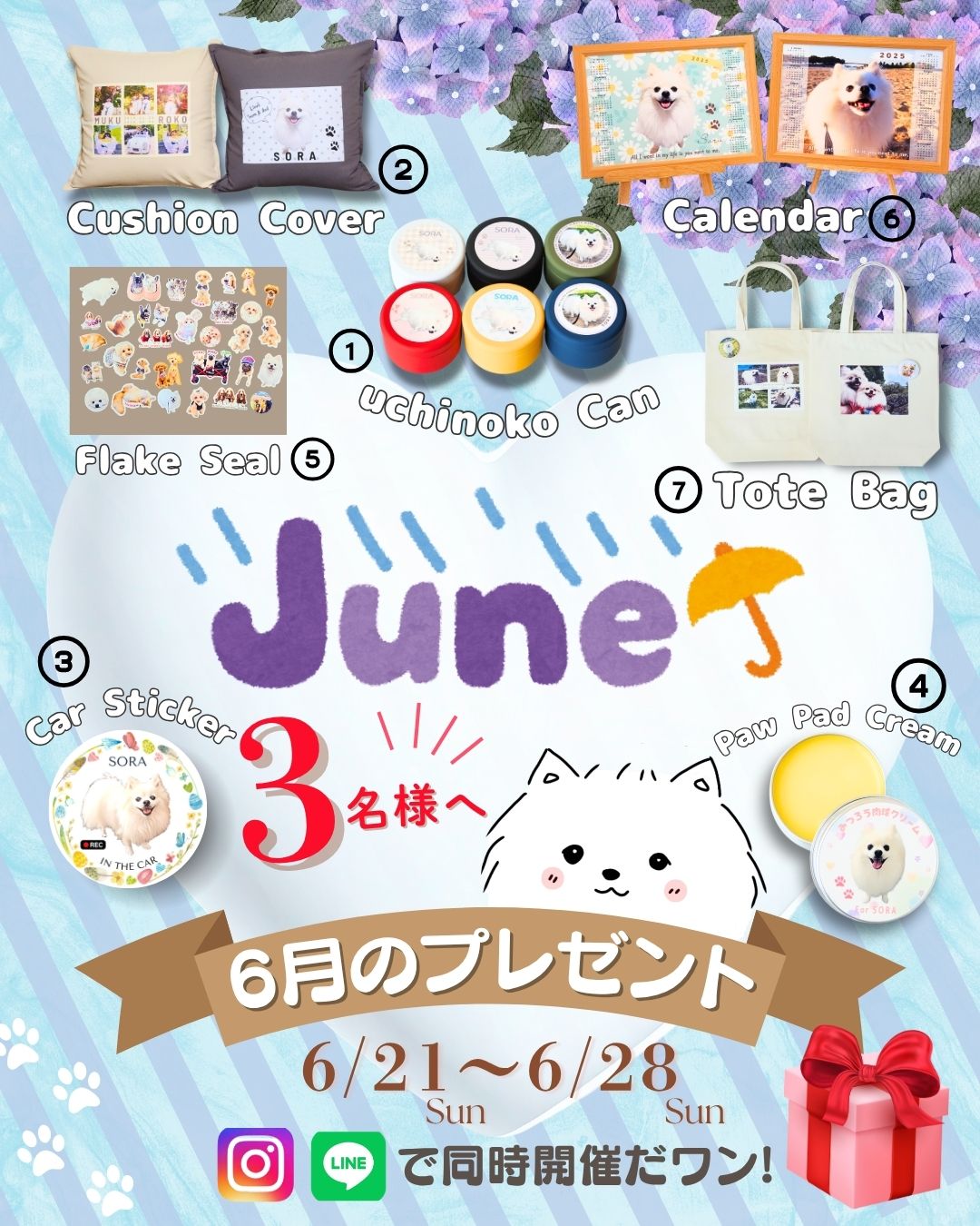 【Juneプレゼント】アンケートはコチラ(2026/6/21-6/28)