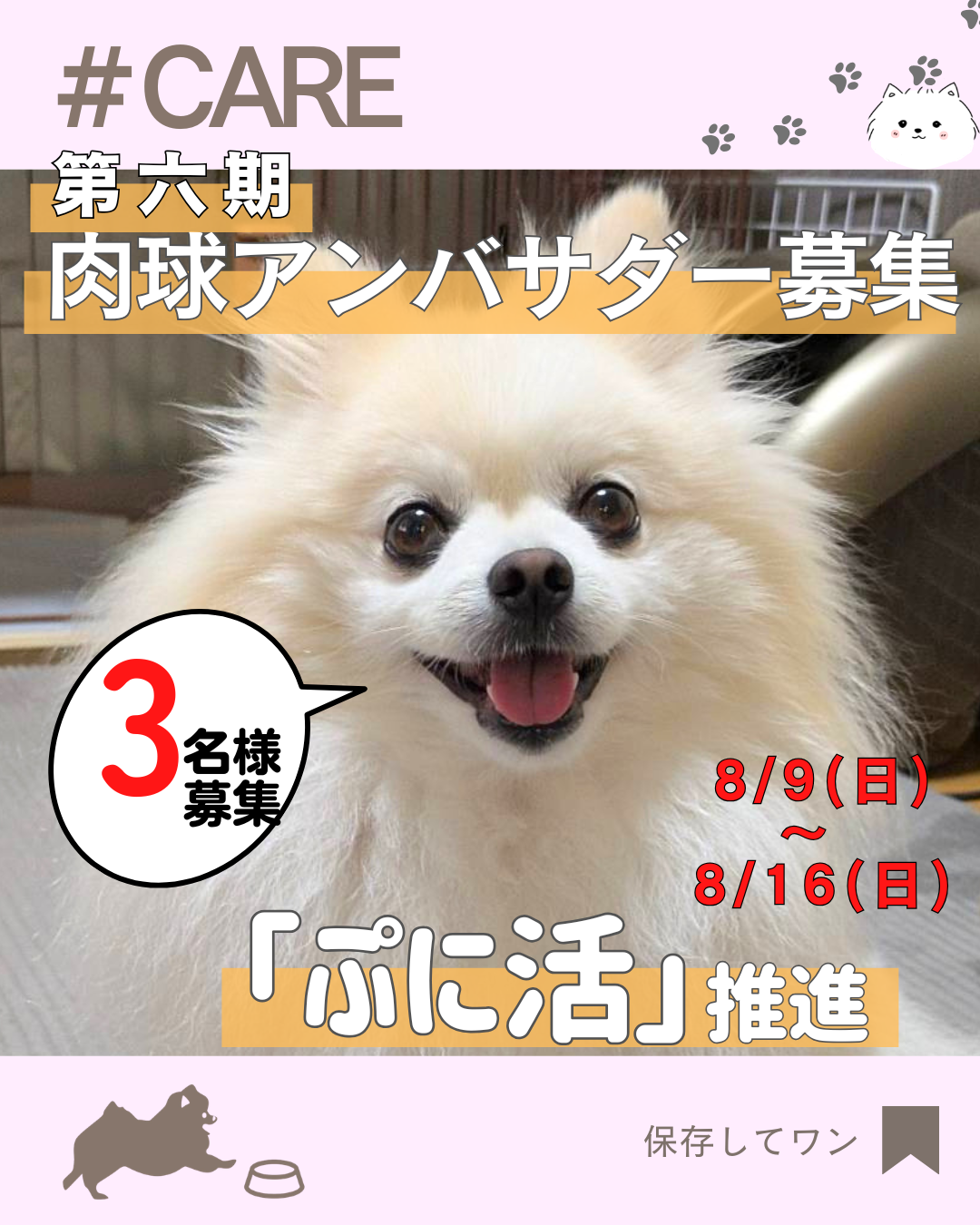 肉球クリームアンバサダー募集！！(2026/8/9〜8/16)