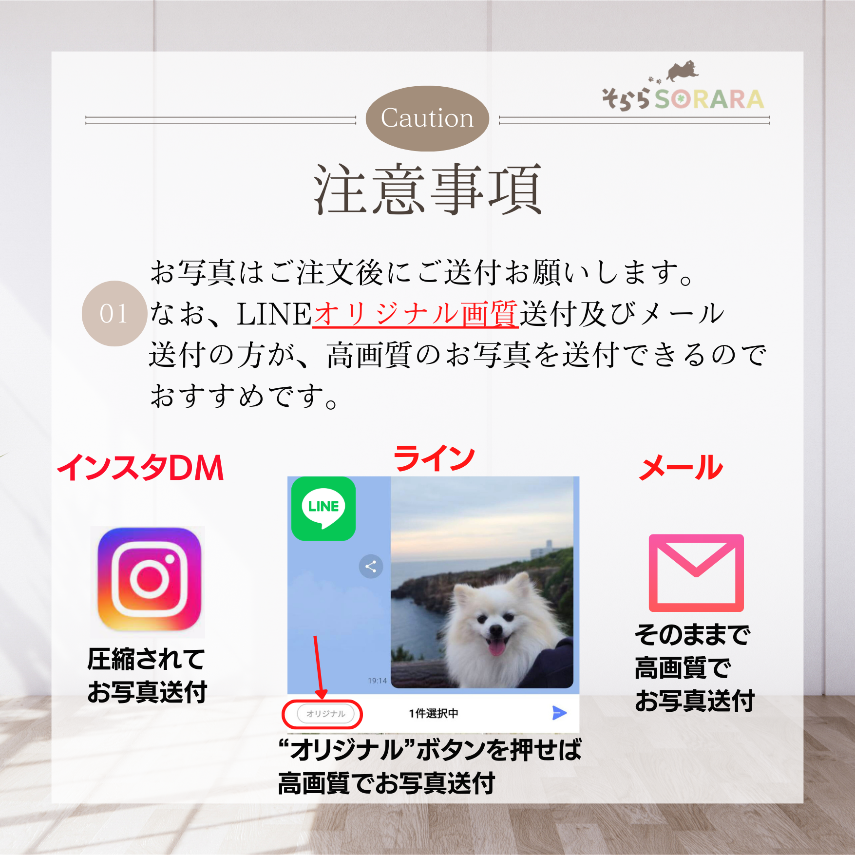 うちの子トートバッグ 缶バッチ付　写真入り　セミオーダー　お散歩に お出かけに