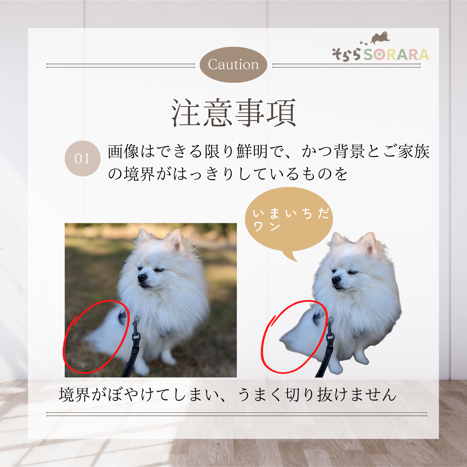 オリジナル車用ステッカー My Cute Family　プレゼントにも