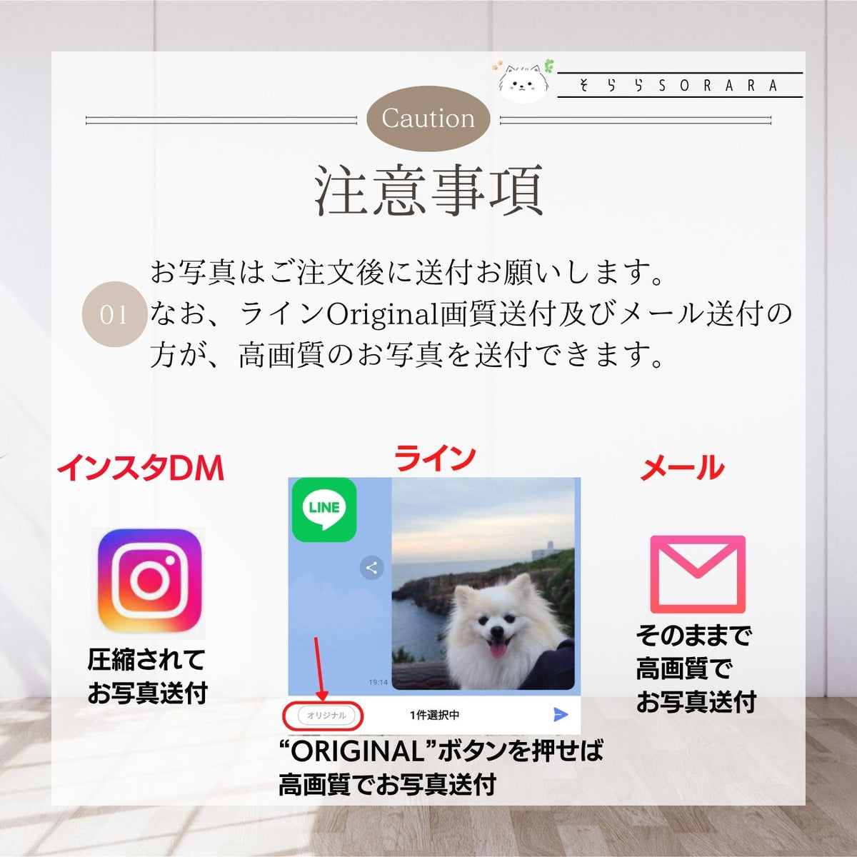 うちの子Tシャツ　写真入り　セミオーダー　一緒にお作りします プレゼントに