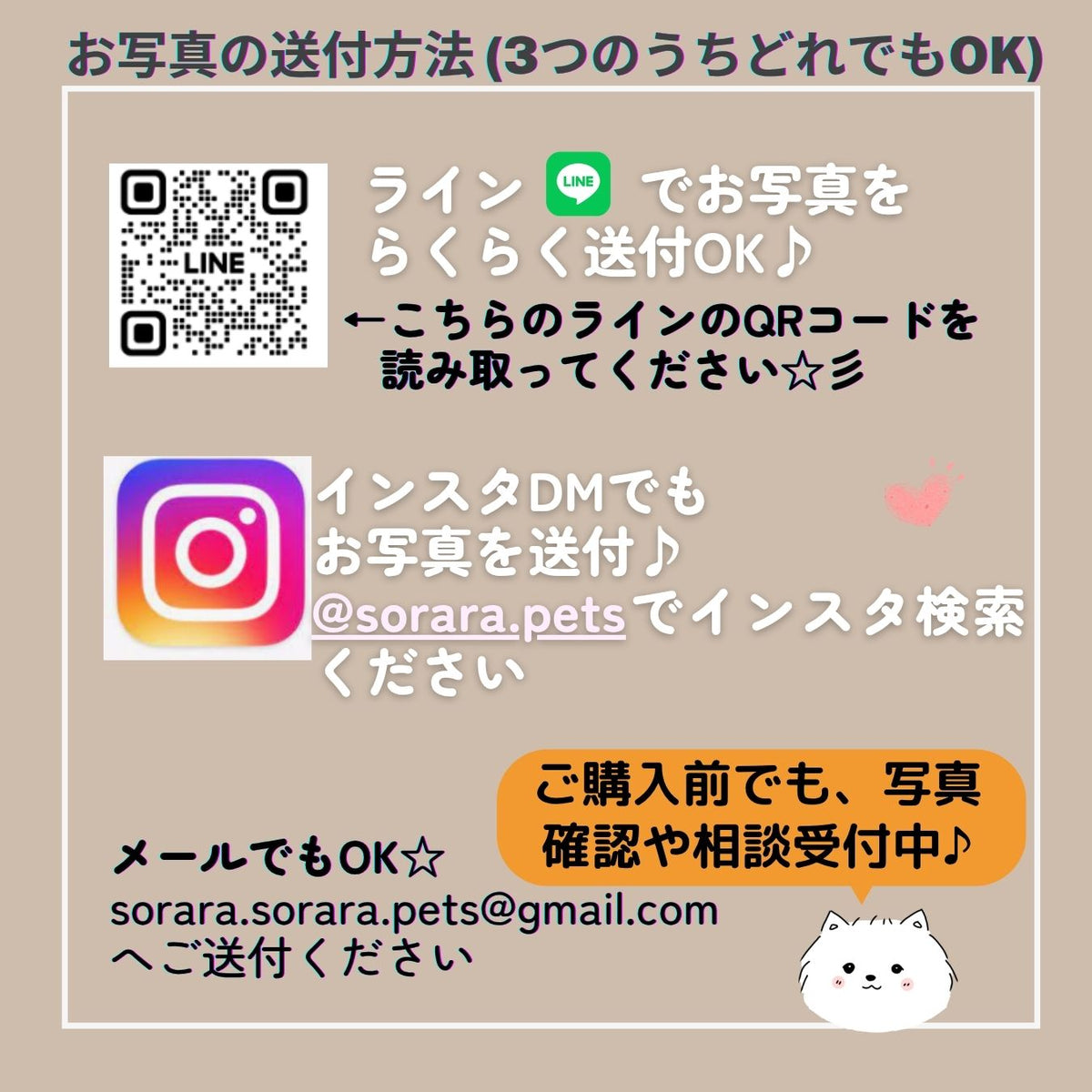 うちの子Tシャツ　写真入り　セミオーダー　一緒にお作りします プレゼントに