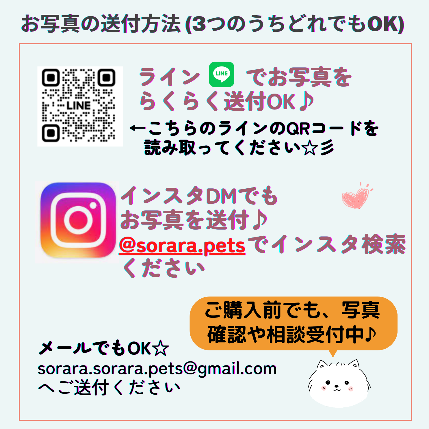 オリジナル車用ステッカー My Cute Family　プレゼントにも