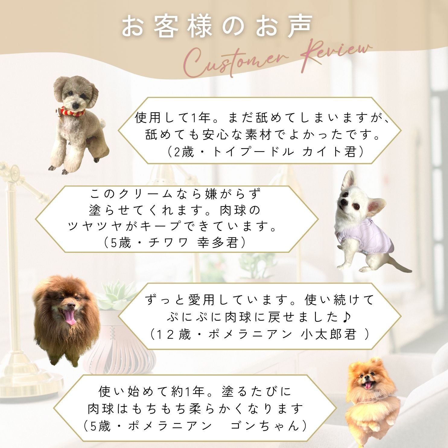 【獣医師推奨】(2個セット)みつろうクリーム My Cute Family（犬猫用肉球クリーム）リップスティック 国産 手作り 完全無添加