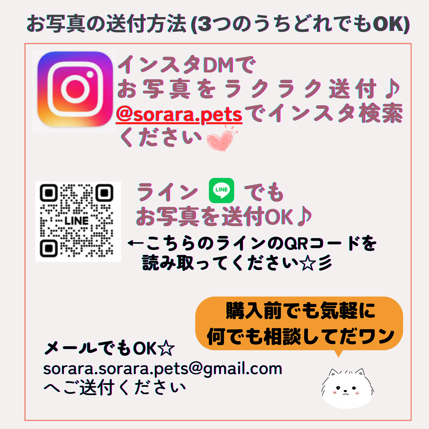 うちの子クッションカバー　写真入り　セミオーダー　選べる6色　プレゼントに