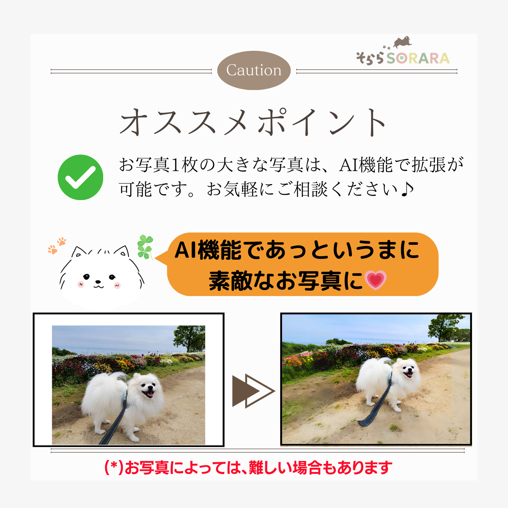 うちの子カレンダー　写真入り　セミオーダー　フレーム付き　プレゼントに