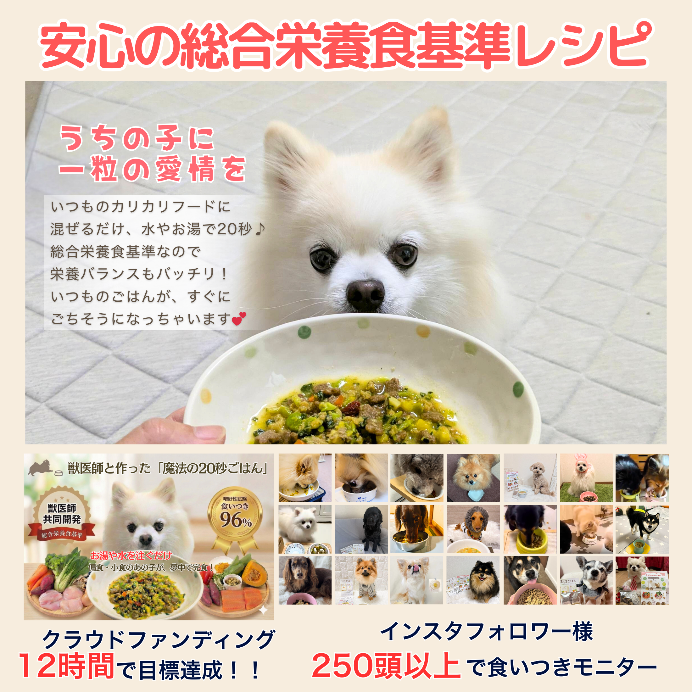 そららのるるる サーモン 6個 or 12個 手作りフリーズドライごはん　獣医師共同開発　総合栄養食基準レシピ