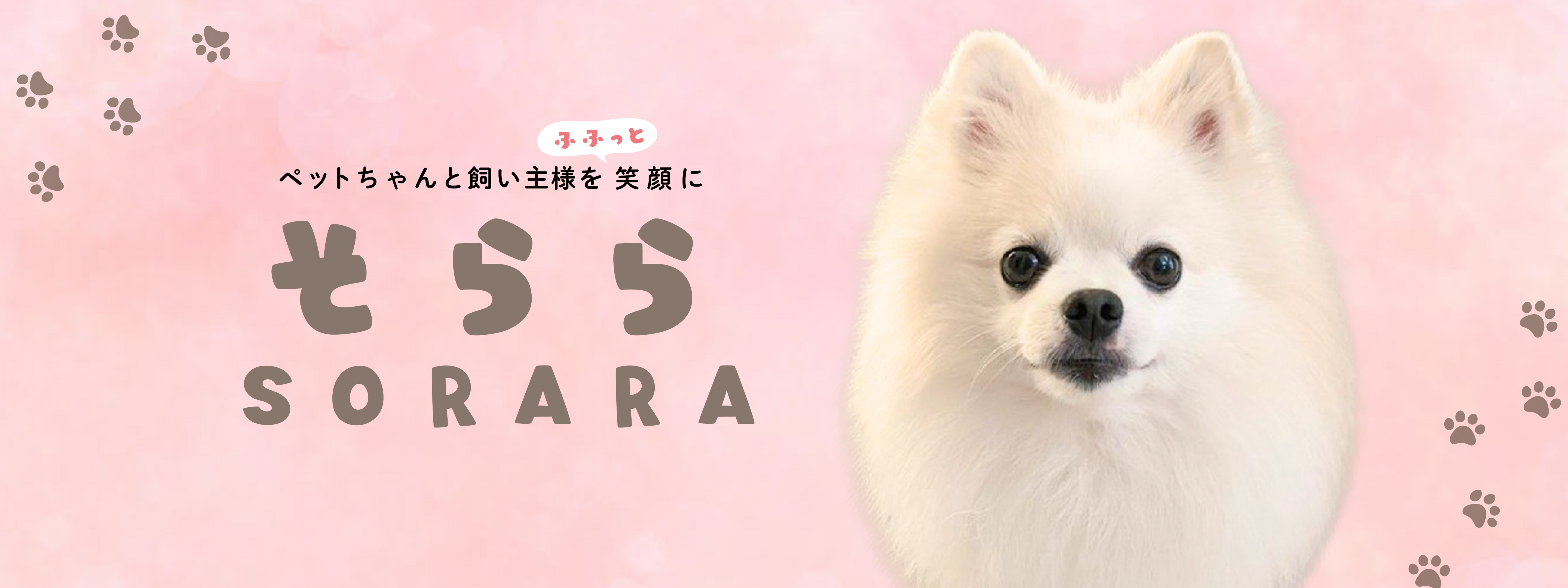 公式】そららSORARA｜獣医師共同開発ドッグフード・肉球クリーム・うち