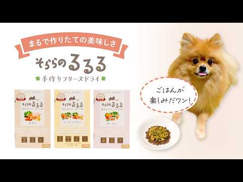 そららのるるる チキン&サーモン 6個 or 12個 手作りフリーズドライ